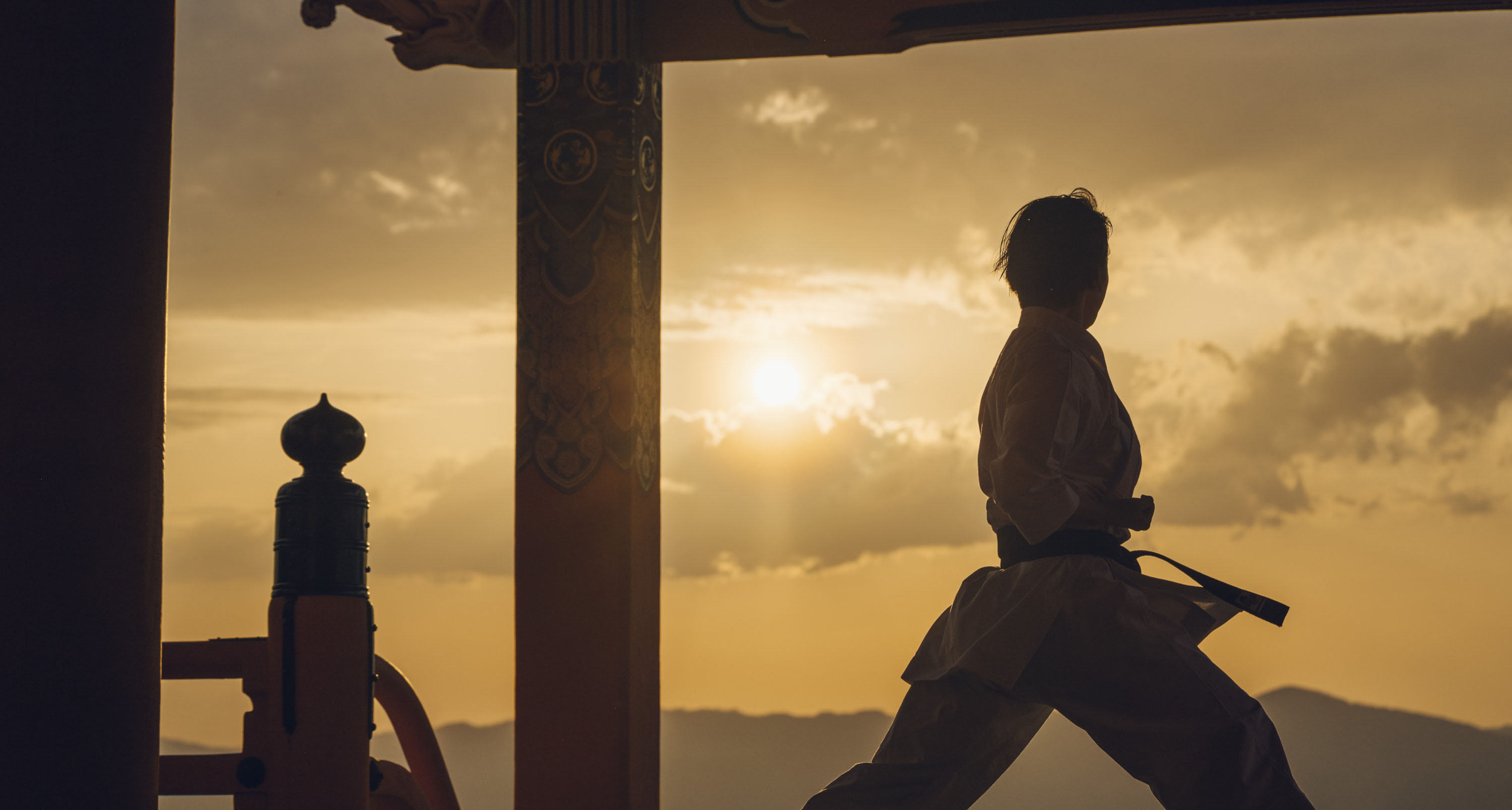 The Karate Path